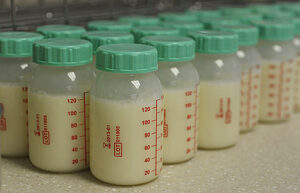 donor human milk